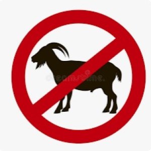 nogoat.jpg