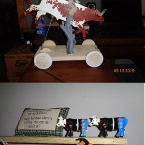 herd.jpg