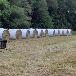 bales.jpg