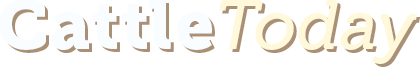 www.cattletoday.com
