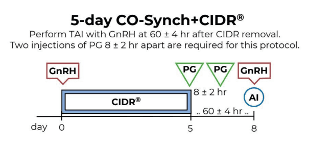 5day_cidr.PNG