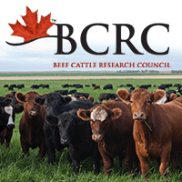 www.beefresearch.ca