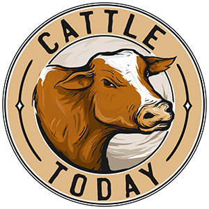 steel cable for cattle yards | CattleToday